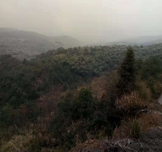 有故鄉者擁有幸福 ，你在他鄉還好嗎？(圖2)